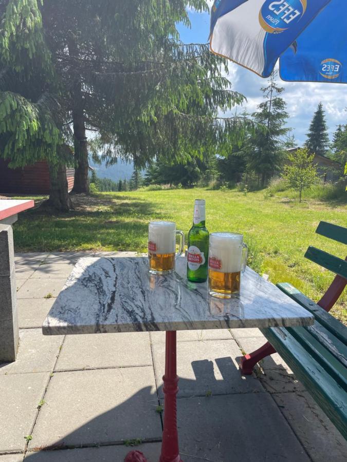 Cabana Transilvania Beliş エクステリア 写真